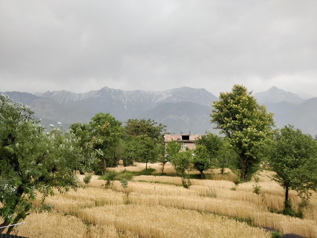 D'Polo Club & Spa Resort Dharamshala Exterior photo