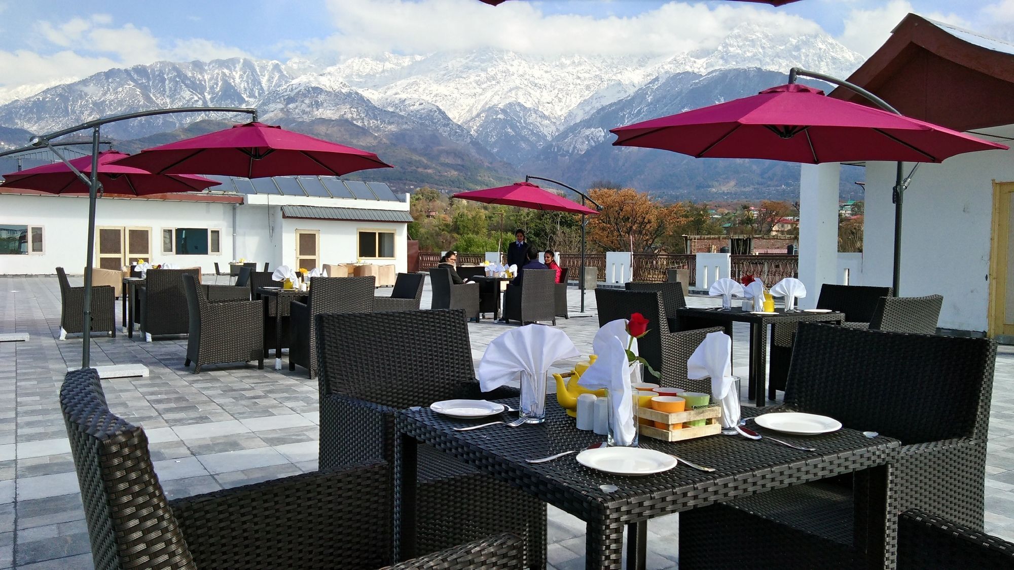 D'Polo Club & Spa Resort Dharamshala Exterior photo