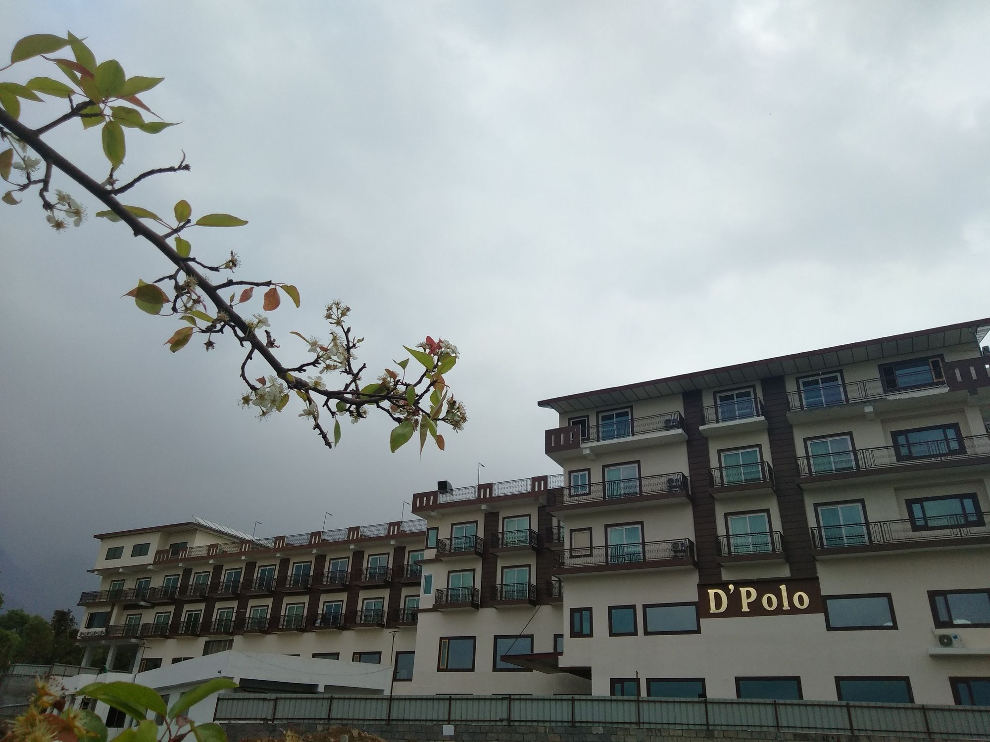 D'Polo Club & Spa Resort Dharamshala Exterior photo